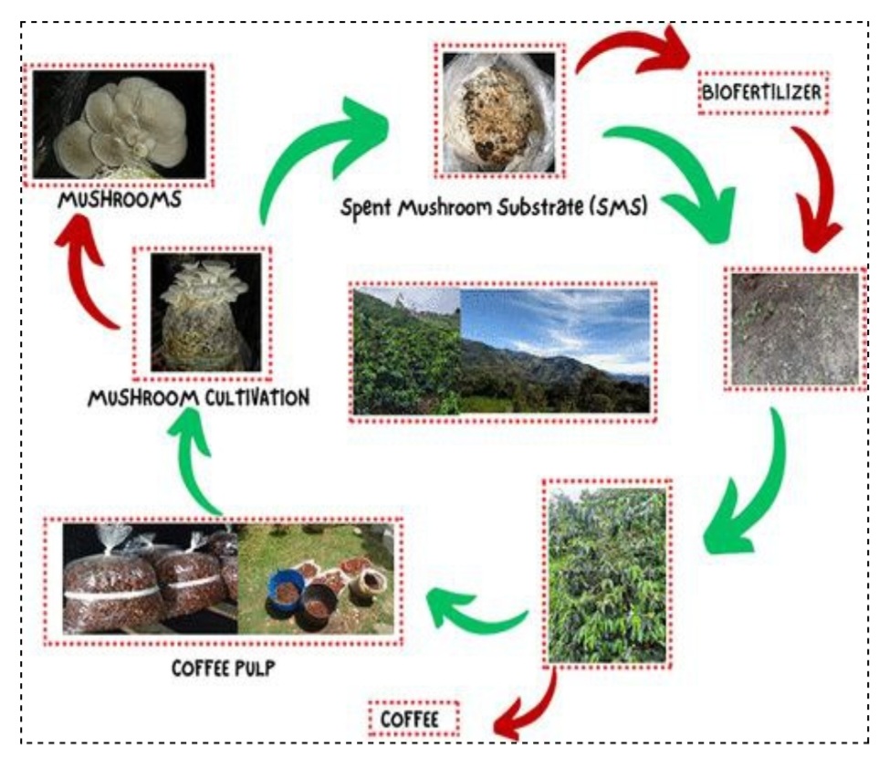 Coffee communities and waste recycling