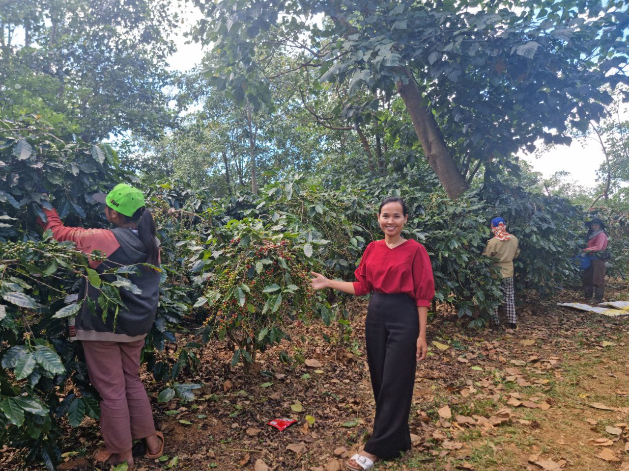 Coffee communities and waste recycling