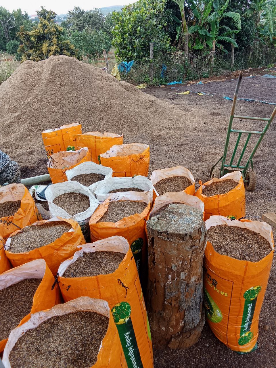 Coffee communities and waste recycling