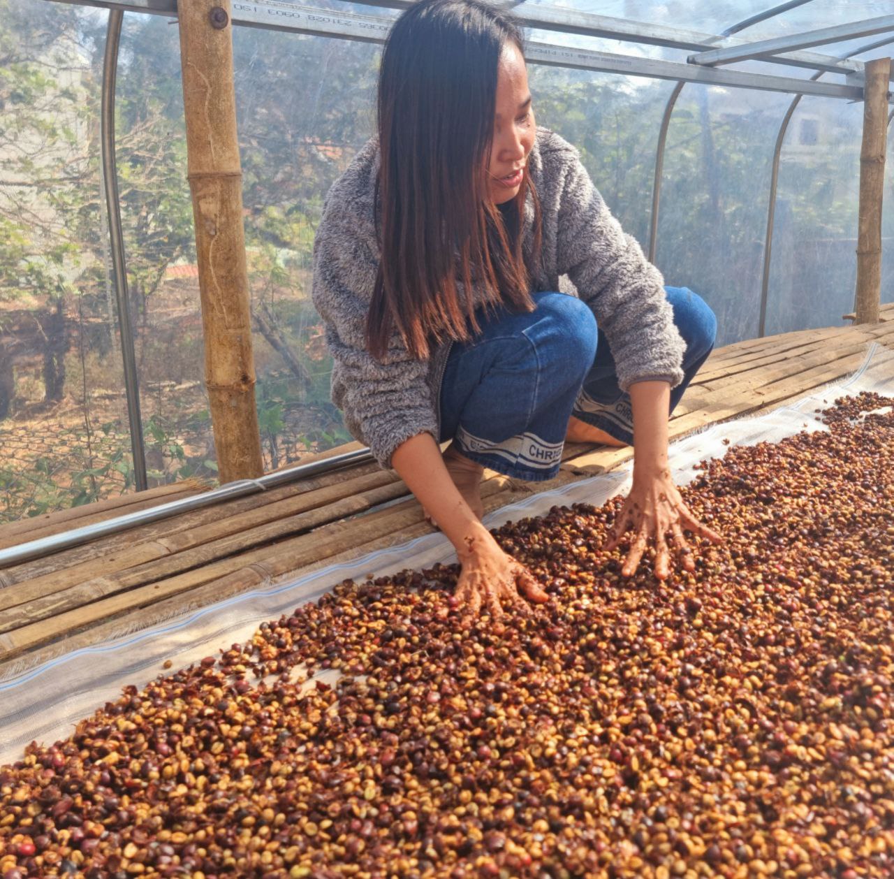 Coffee communities and waste recycling