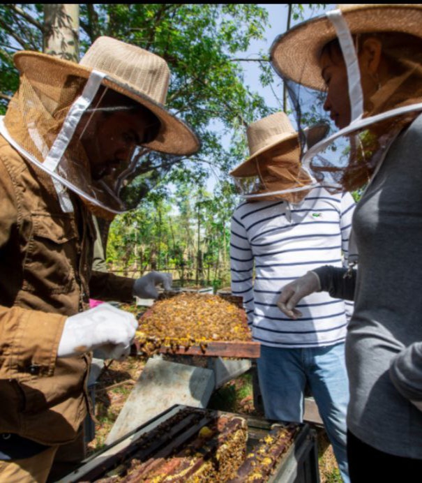 Biodiversity and Conservation