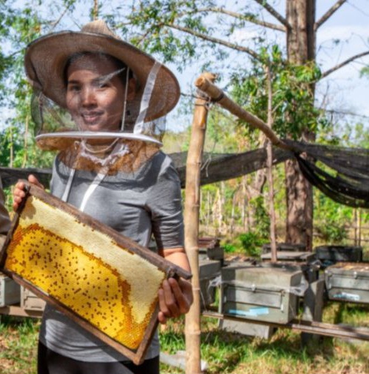 Biodiversity and Conservation