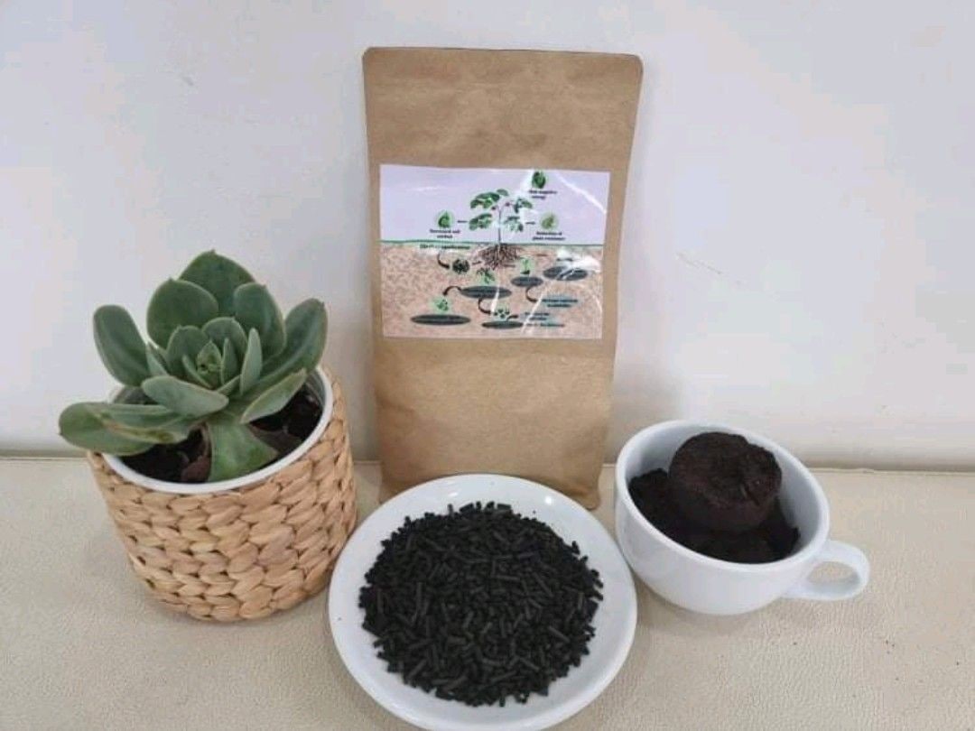 Coffee biochar fertilizer